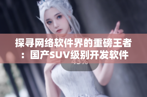 探寻网络软件界的重磅王者：国产SUV级别开发软件
