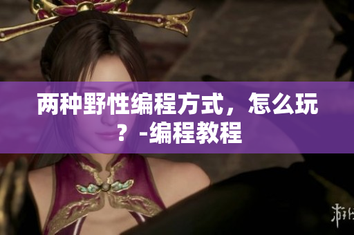 两种野性编程方式，怎么玩？-编程教程