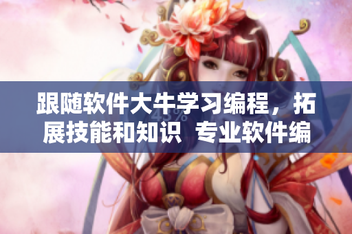 跟随软件大牛学习编程，拓展技能和知识  专业软件编程学习
