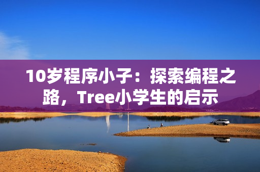 10岁程序小子：探索编程之路，Tree小学生的启示