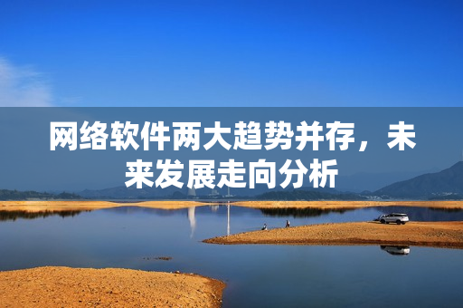 网络软件两大趋势并存，未来发展走向分析