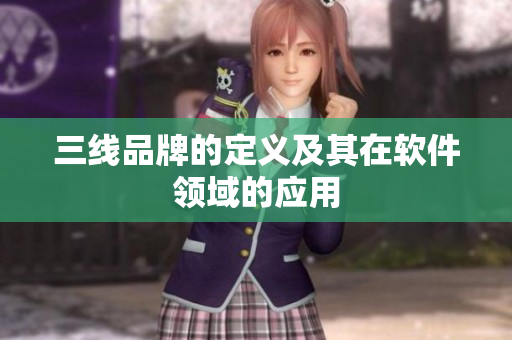 三线品牌的定义及其在软件领域的应用