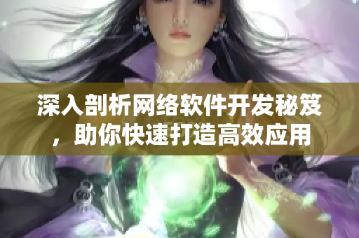 深入剖析网络软件开发秘笈，助你快速打造高效应用