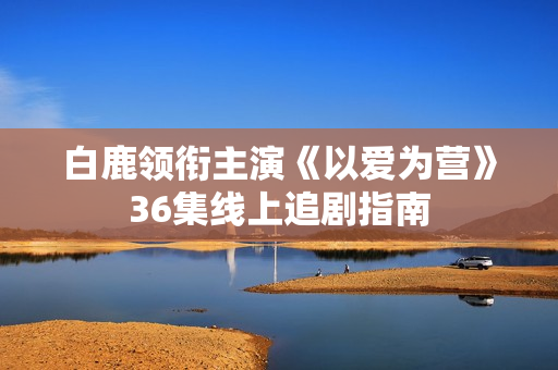白鹿领衔主演《以爱为营》36集线上追剧指南