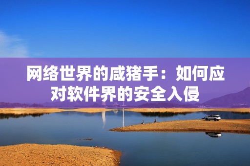 网络世界的咸猪手：如何应对软件界的安全入侵