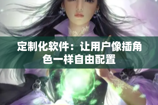 定制化软件：让用户像插角色一样自由配置
