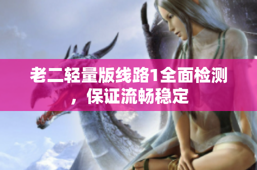 老二轻量版线路1全面检测，保证流畅稳定