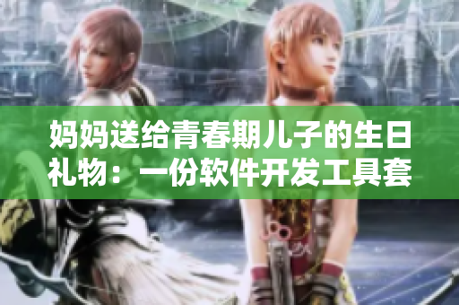 妈妈送给青春期儿子的生日礼物：一份软件开发工具套件