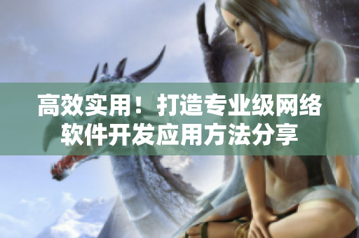 高效实用！打造专业级网络软件开发应用方法分享