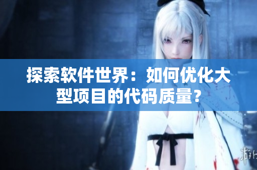 探索软件世界：如何优化大型项目的代码质量？
