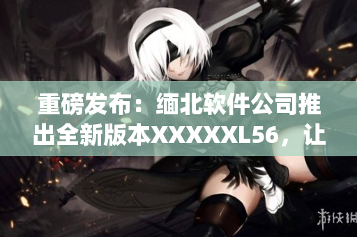 重磅发布：缅北软件公司推出全新版本XXXXXL56，让你的工作更高效！(1)