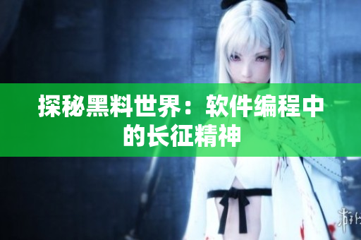 探秘黑料世界：软件编程中的长征精神