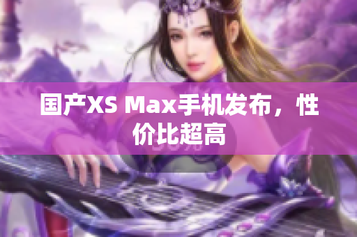 国产XS Max手机发布，性价比超高