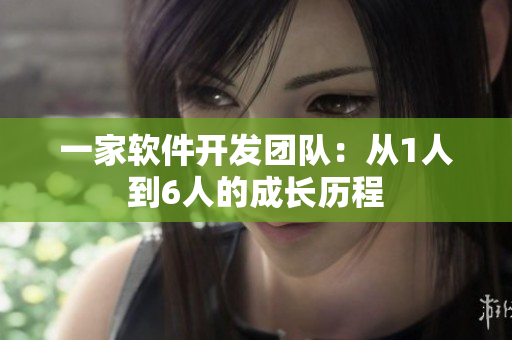 一家软件开发团队：从1人到6人的成长历程
