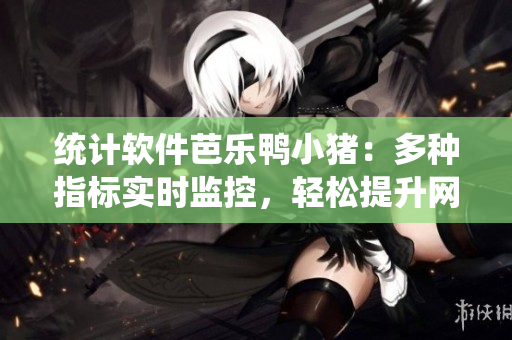 统计软件芭乐鸭小猪：多种指标实时监控，轻松提升网站数据分析。