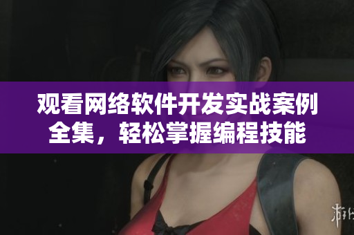 观看网络软件开发实战案例全集，轻松掌握编程技能