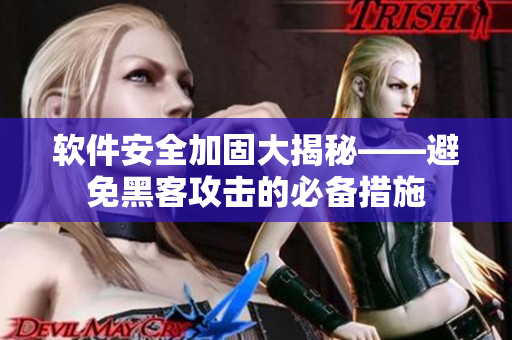 软件安全加固大揭秘——避免黑客攻击的必备措施