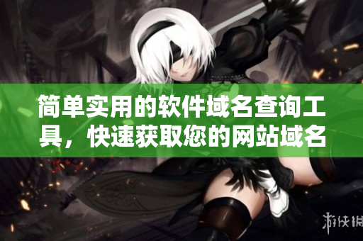 简单实用的软件域名查询工具，快速获取您的网站域名