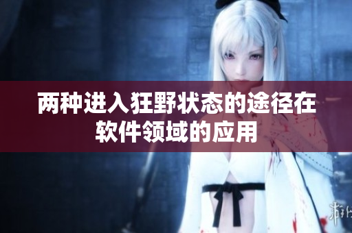 两种进入狂野状态的途径在软件领域的应用