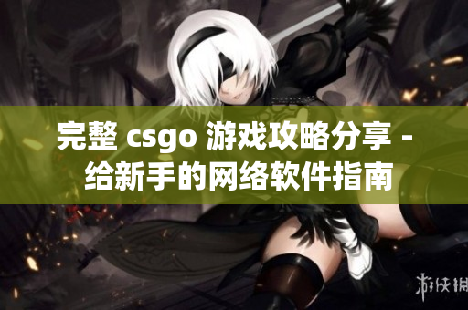 完整 csgo 游戏攻略分享 - 给新手的网络软件指南