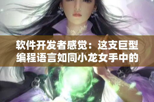 软件开发者感觉：这支巨型编程语言如同小龙女手中的重剑