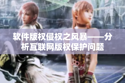 软件版权侵权之风暴——分析互联网版权保护问题