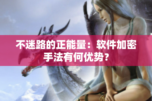 不迷路的正能量：软件加密手法有何优势？