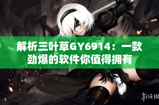 解析三叶草GY6914：一款劲爆的软件你值得拥有