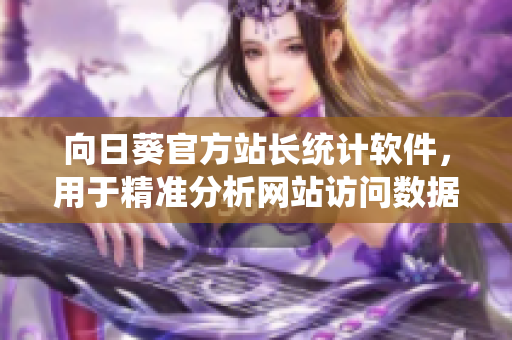 向日葵官方站长统计软件，用于精准分析网站访问数据