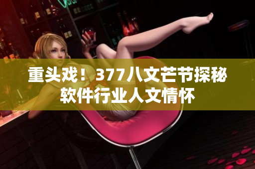 重头戏！377八文芒节探秘软件行业人文情怀