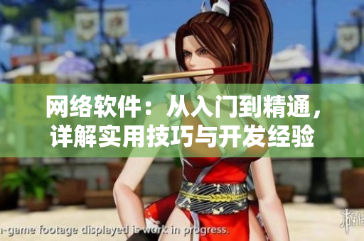 网络软件：从入门到精通，详解实用技巧与开发经验