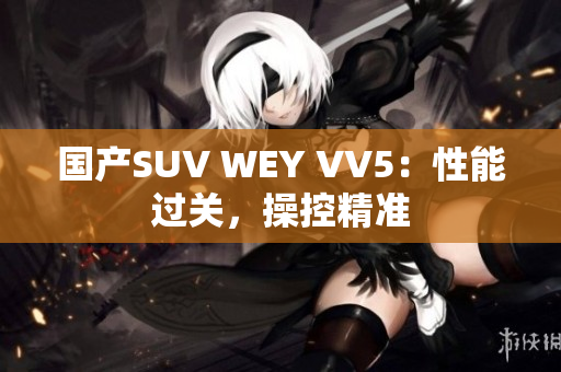 国产SUV WEY VV5：性能过关，操控精准