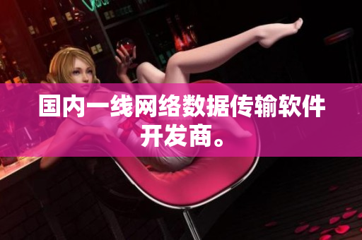 国内一线网络数据传输软件开发商。