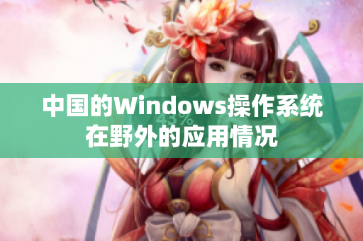中国的Windows操作系统在野外的应用情况
