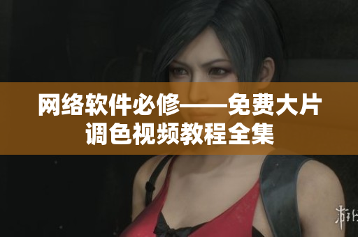 网络软件必修——免费大片调色视频教程全集