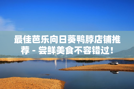 最佳芭乐向日葵鸭脖店铺推荐 - 尝鲜美食不容错过！