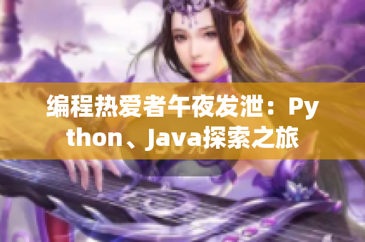 编程热爱者午夜发泄：Python、Java探索之旅