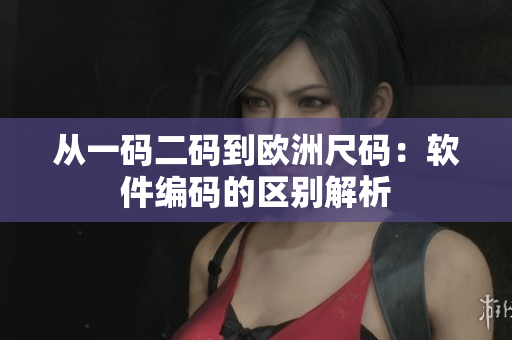 从一码二码到欧洲尺码：软件编码的区别解析