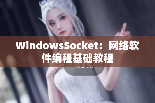 WindowsSocket：网络软件编程基础教程