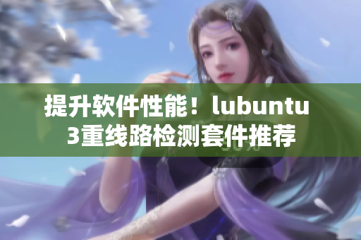 提升软件性能！lubuntu 3重线路检测套件推荐