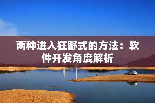两种进入狂野式的方法：软件开发角度解析