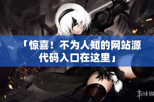 「惊喜！不为人知的网站源代码入口在这里」