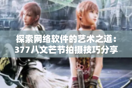 探索网络软件的艺术之道：377八文芒节拍摄技巧分享
