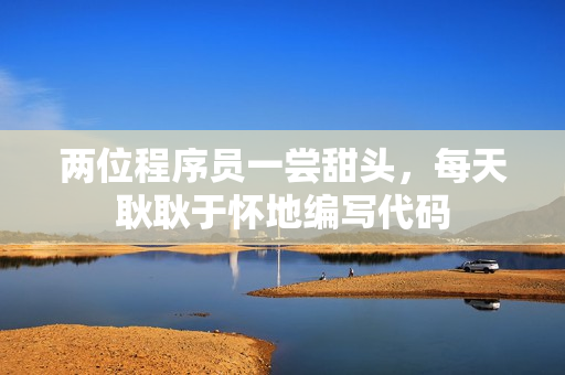 两位程序员一尝甜头，每天耿耿于怀地编写代码