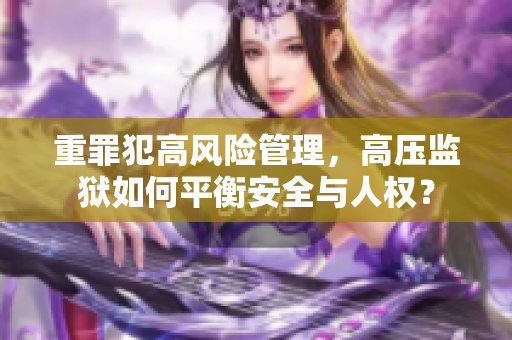 重罪犯高风险管理，高压监狱如何平衡安全与人权？