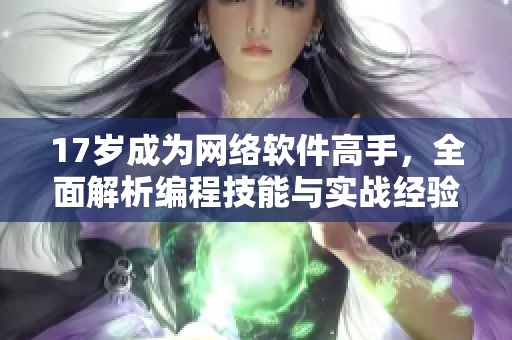 17岁成为网络软件高手，全面解析编程技能与实战经验