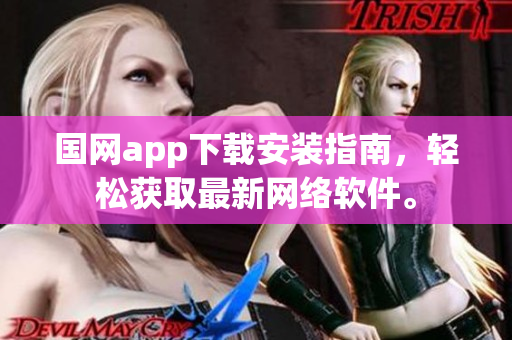 国网app下载安装指南，轻松获取最新网络软件。