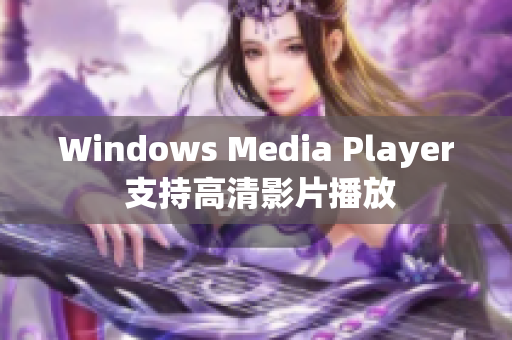 Windows Media Player 支持高清影片播放