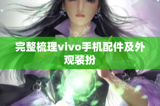 完整梳理vivo手机配件及外观装扮