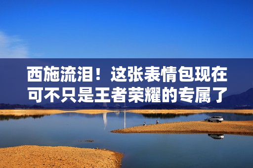 西施流泪！这张表情包现在可不只是王者荣耀的专属了！